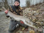 Big Hucho in winter 2